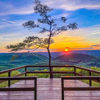 A lone tree sits at the edge of a wooden overlook, with rolling mountains and the sun setting along the horizon.