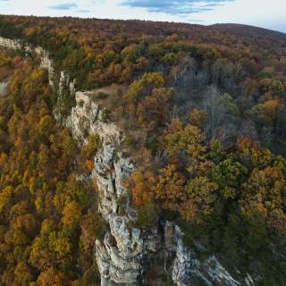 Fall on Wills Mountain-Cumberland MD