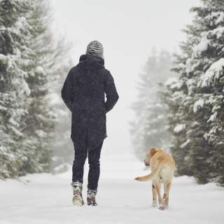 A woman walks alongside a golden retriever dog, through snow covered pines and path.
