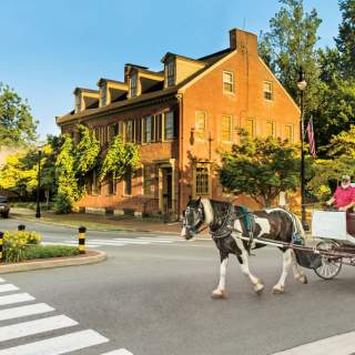 Jonesy with McLean House