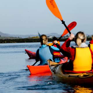 A group kayaking on Strangford Lough.
