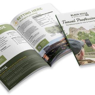 Travel professional guide