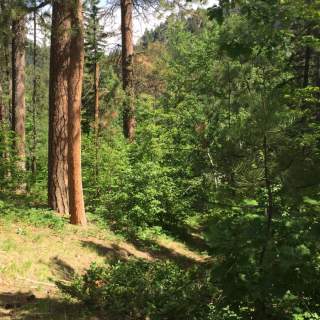 Big Hill Trails - Spearfish