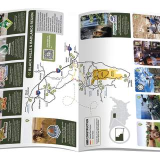 International Profile Sheet