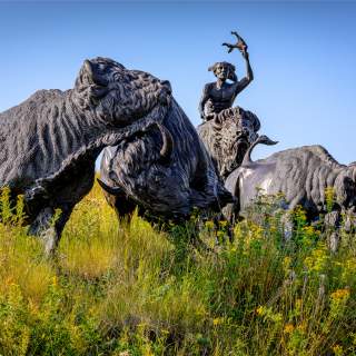 Tatanka Story of the Bison