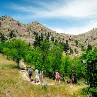 Trails
