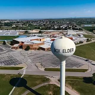 Box-Elder