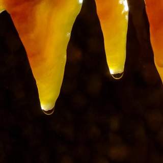 Jewel Cave