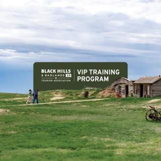 VIP training program