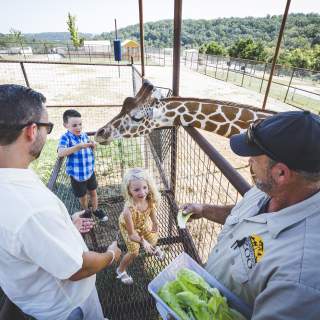 Promised Land Zoo 2.jpg