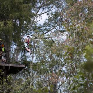What To Do in NC's Brunswick Islands This Weekend