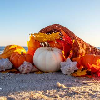 5 Reasons to Host a Beach Feast this Thanksgiving