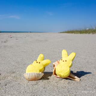 Spend Easter in North Carolina's Brunswick Islands