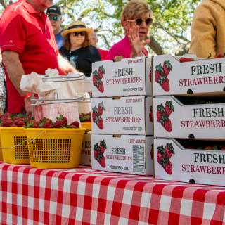 What To Do in NC's Brunswick Islands This Weekend