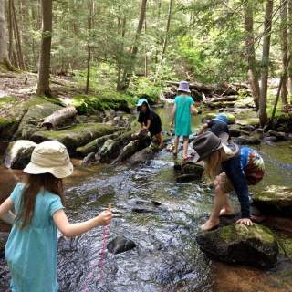 Roaring Brook