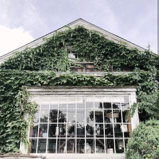 The Junk Shop