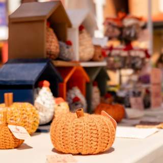 Fall Festivities in Denison: A Newcomer's Guide