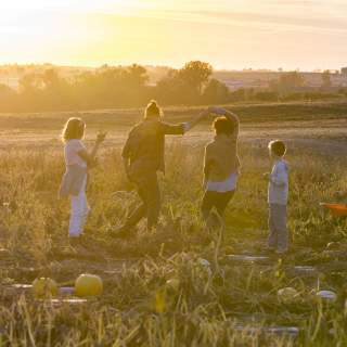 Best Pumpkin Patches and Apple Orchards in Greater Des Moines