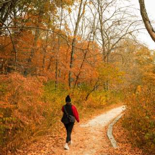 5 Ways to Experience Fall Colors in Greater Des Moines