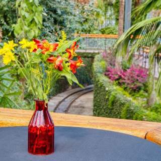 Tropical flowers in a red vase on a cocktail table inside a giant greenhouse