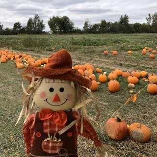 A Guide to Pumpkin Patches in Hamilton County