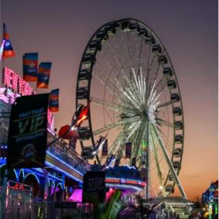 Houston Rodeo BBQ Contest