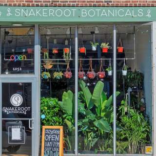 Five Indy-based Plant Stores That Are Sure to “Leaf” an Impression on You