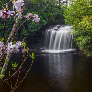 Close to Home, Worlds Away: Easy Road Trips to Jackson County