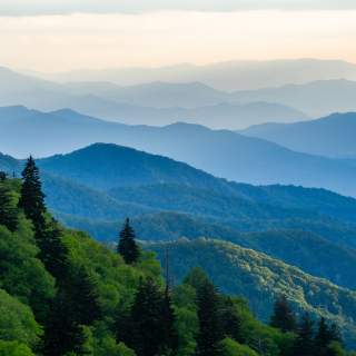 Cooler by Nature: How to Beat the Heat in Jackson County This Summer