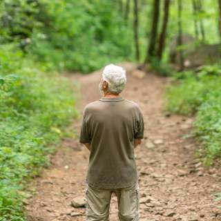 A Local’s Guide to Forest Bathing in Jackson County, NC