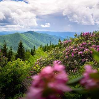 Spring Break in the Mountains: A Family Traveler’s Guide