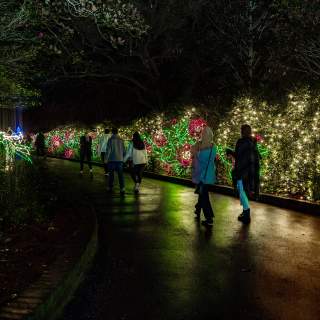 Must-Do Holiday Events & Experiences in Mobile, AL