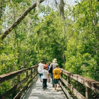 Jean Lafitte National Historic Park