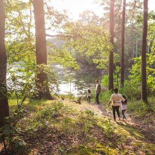 Family of 4 walking to a lake in a wooded park