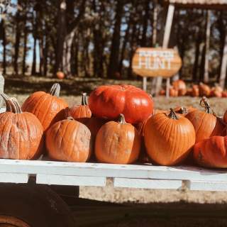 Celebrate Fall