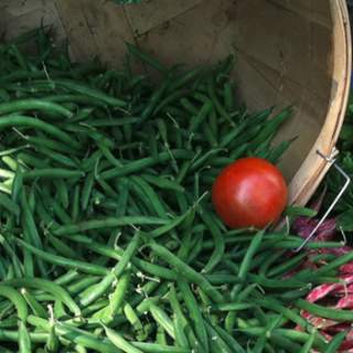 Local Farmers Markets in Providence & Beyond