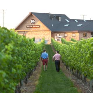 Vines, Wines & Good Times: Uncorking Rhode Island's Wine Scene