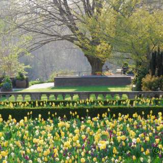 Montco Wellness Garden