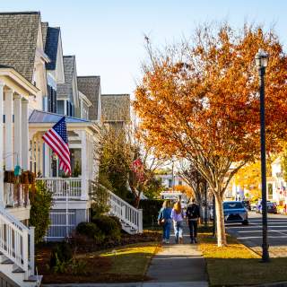 Fall - Downtown