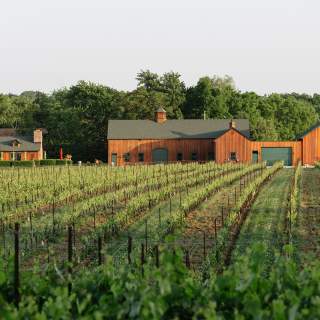 Hidden Bench Vineyards and Winery