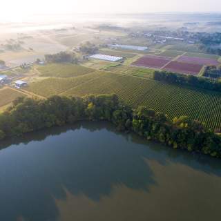 Harbour Estates Winery
