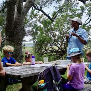 Wee Wild Ones: Nature Eye Spy