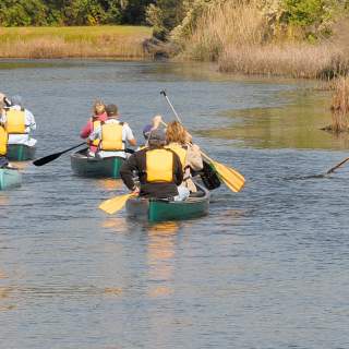 Tea Farm Creek Canoe Trip