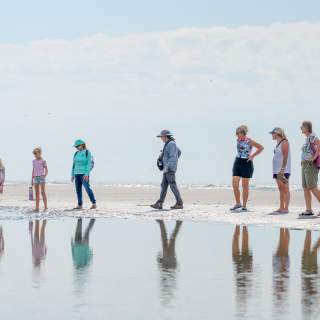 Seashore Exploration