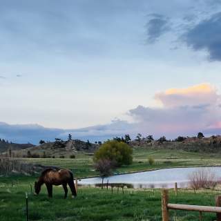 Gordon Creek Rv park & cabins