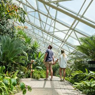 Foellinger-Freimann Botanical Conservatory