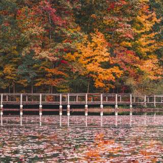 Lindenwood Nature Preserve