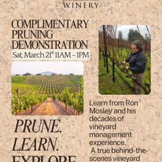 Complimentary Pruning Demonstration at Cinnabar Winery