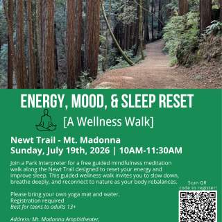 Morning, Mood, & Sleep Reset - A Wellness Walk at Mt Madonna County Park
