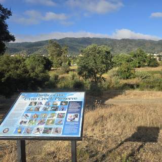 DeBell Park and Uvas Creek Loop